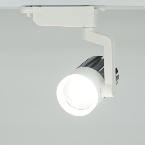 al119_10-500x500