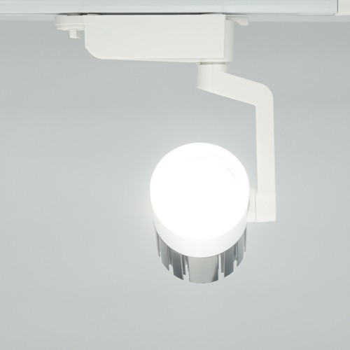 al119_8-500x500